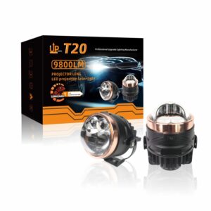 T20